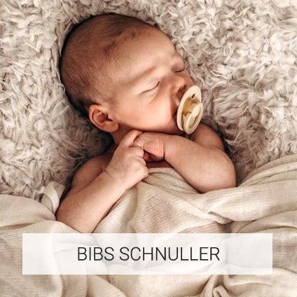 BIBS Schnuller